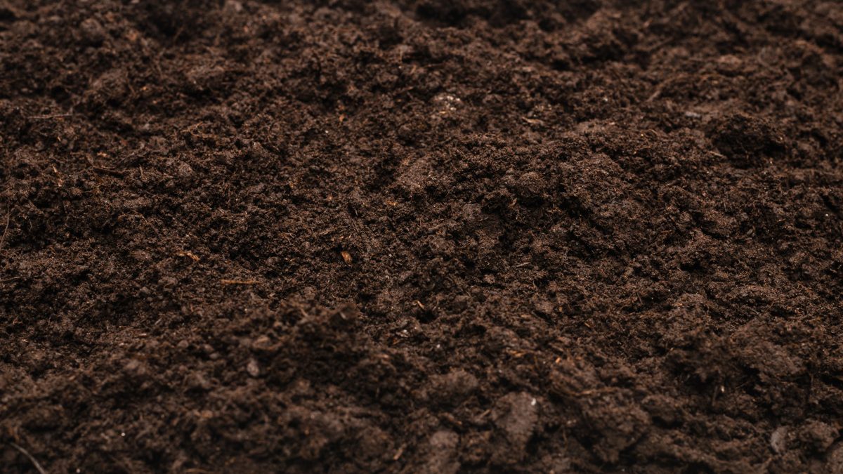 Textura de Terra